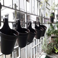 5 Pieces 12 cm 4.8 Small Size Grill Planter