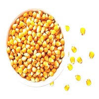 Popcorn Bhutta-1kg