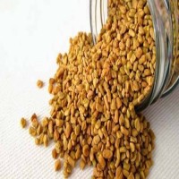 Fenugreek Seeds/Methi- 500g(Jar Pack)
