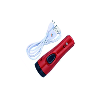 Mini Rechargeable LED Torch Light (SDGD-8670B)-Maroon With Money Check