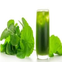 Thankuni Pata Powder 100g