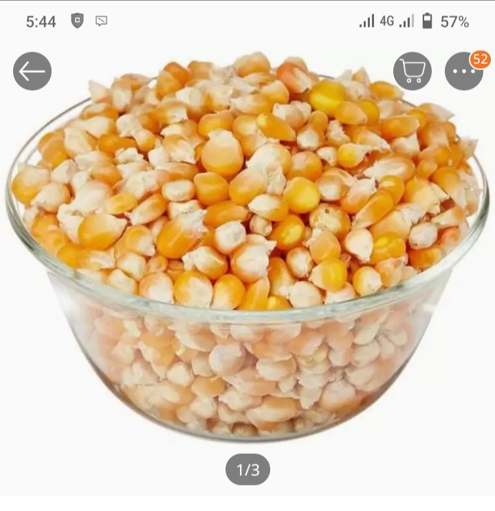Popcorn Bhutta-1kg